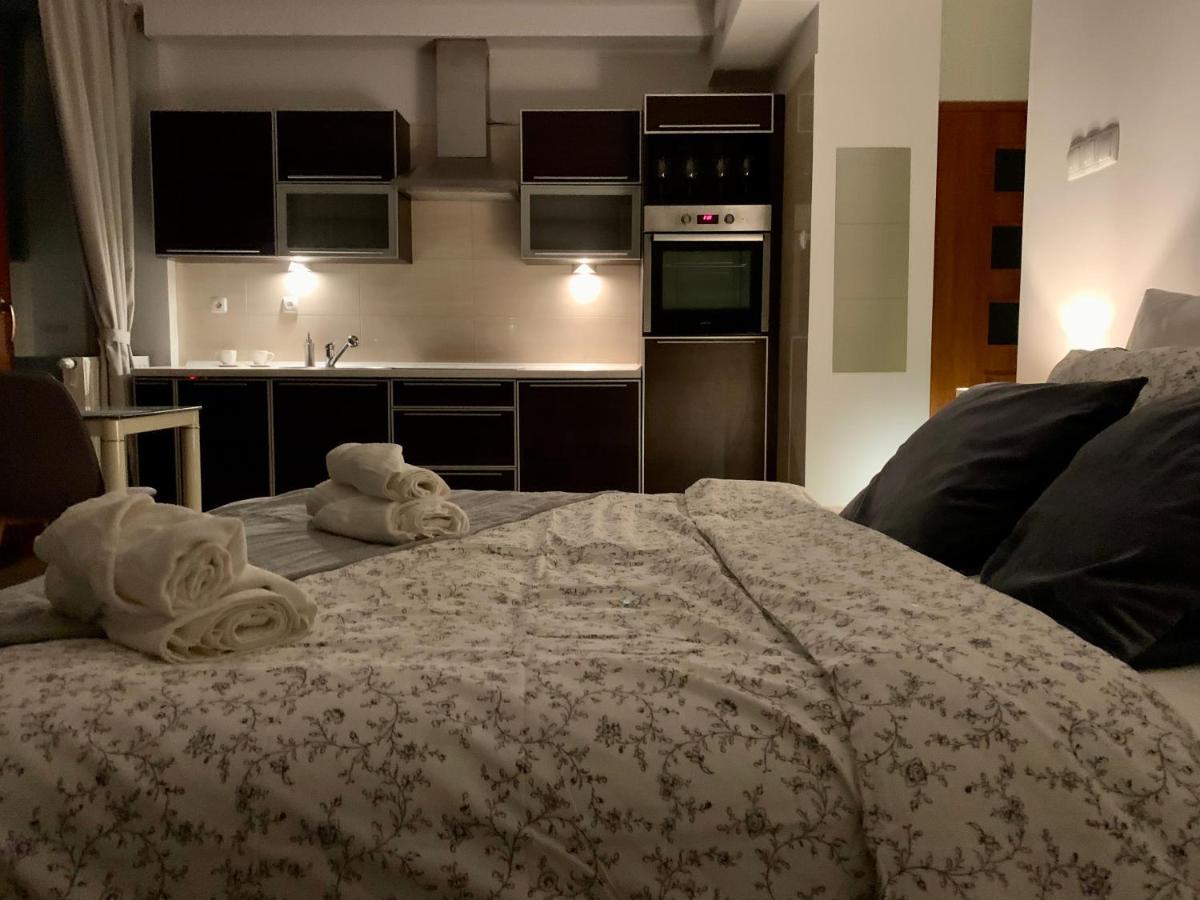 City View Wellness Apartment Swim&Steam&Relax كراكوفيا المظهر الخارجي الصورة